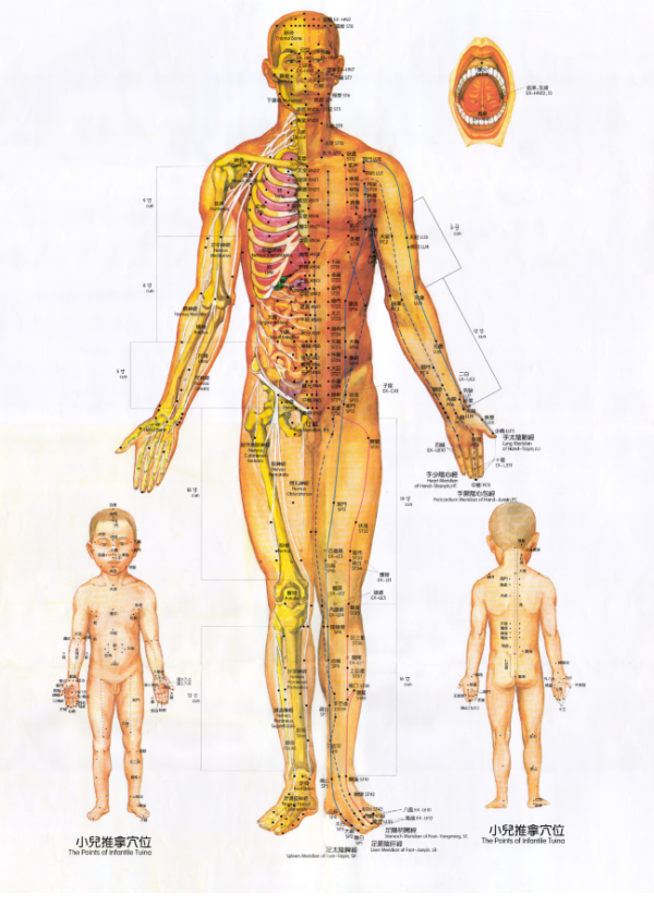 Thumbnail child poster A1 Acupuncture Point Posters (Poster A)