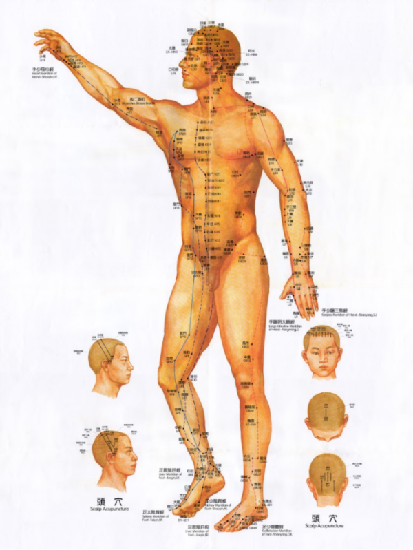A1 Acupuncture Point Posters (Poster C)