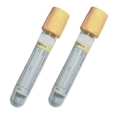 vacutainer gold